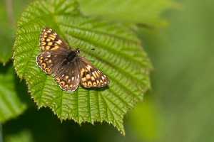 © Oliver Smart © Oliver Smart